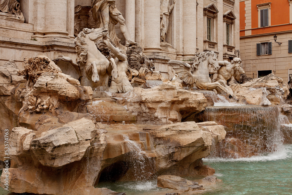 Trevi Fountain Rome