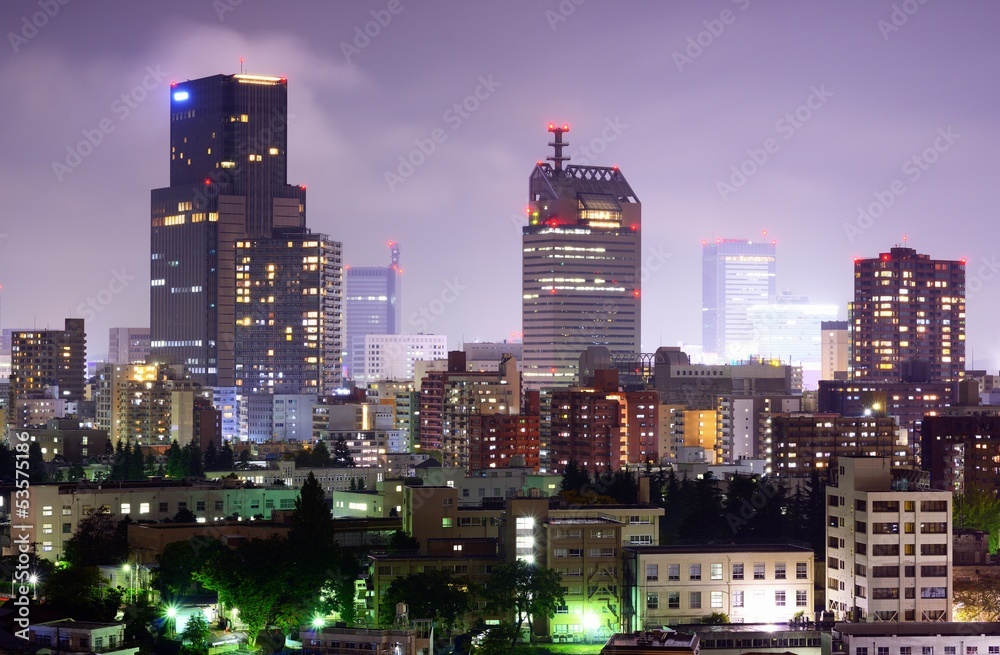 Fototapeta premium Sendai, Japan Cityscape