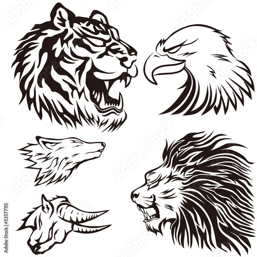 アニマル　タトゥー　デザイン