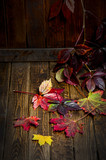 fall leaves on old wooden background