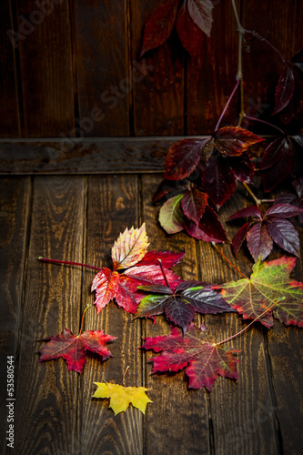 fall leaves on old wooden background