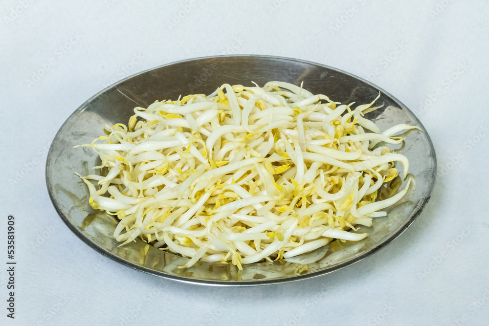 Bean sprouts on dish Bean sprouts on dish
