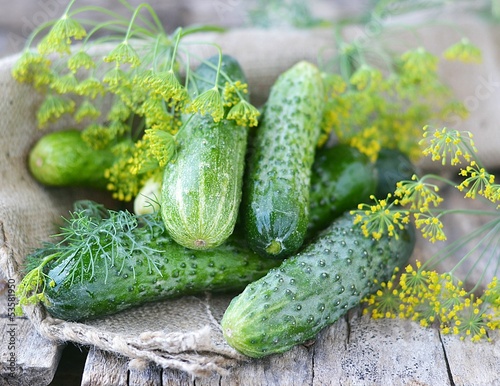 fresh,green cucamber