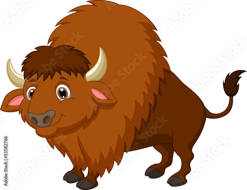 Bison cartoon