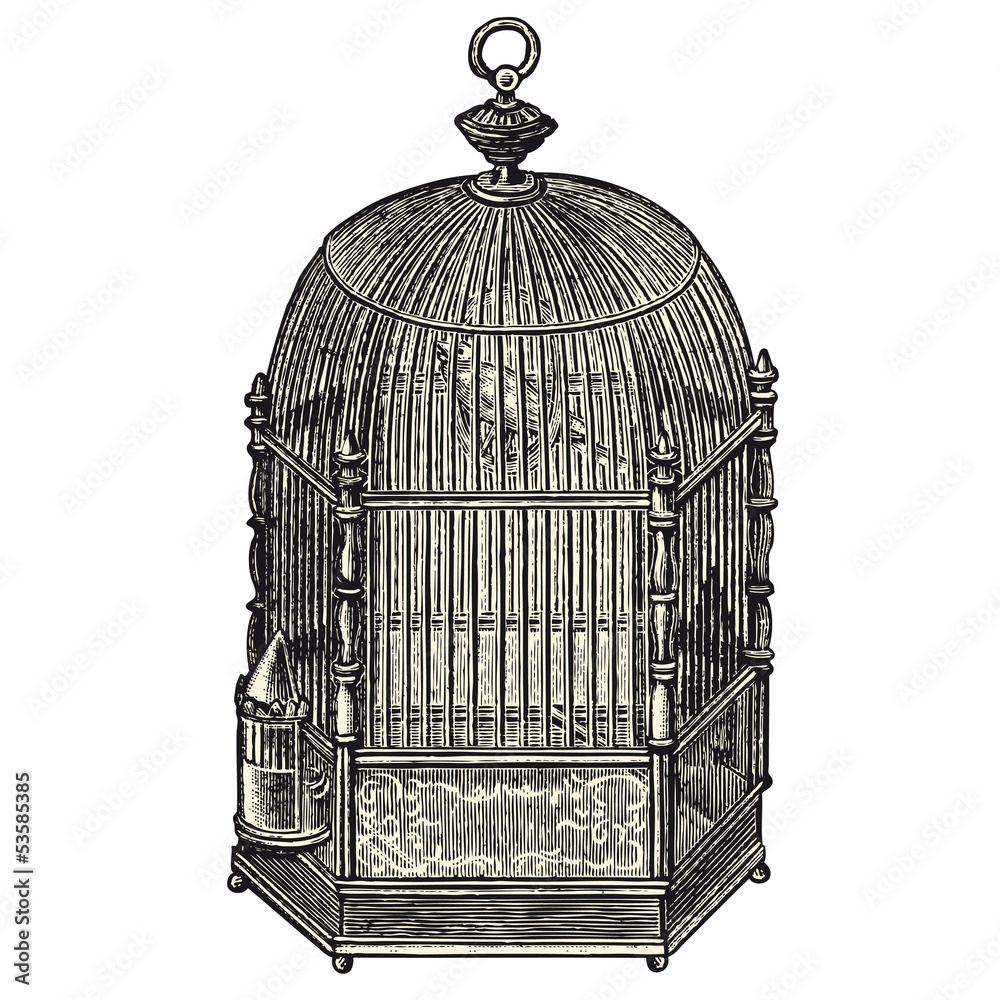Cage à oiseaux