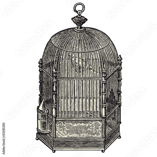 Cage à oiseaux photo