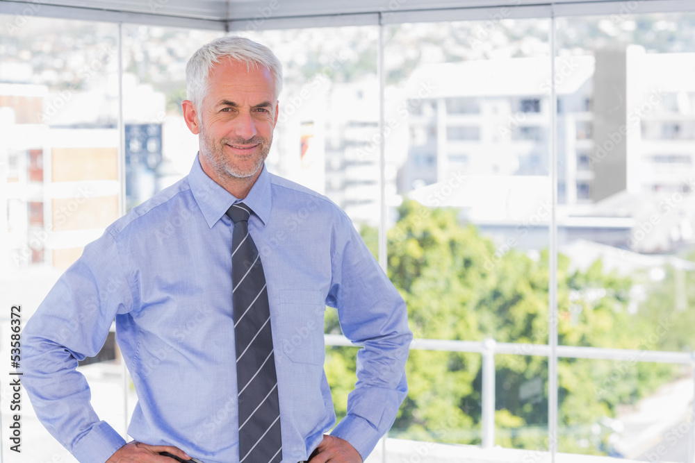Businessman smiling at camera with hands on hips Businessman smiling at camera with hands on hips