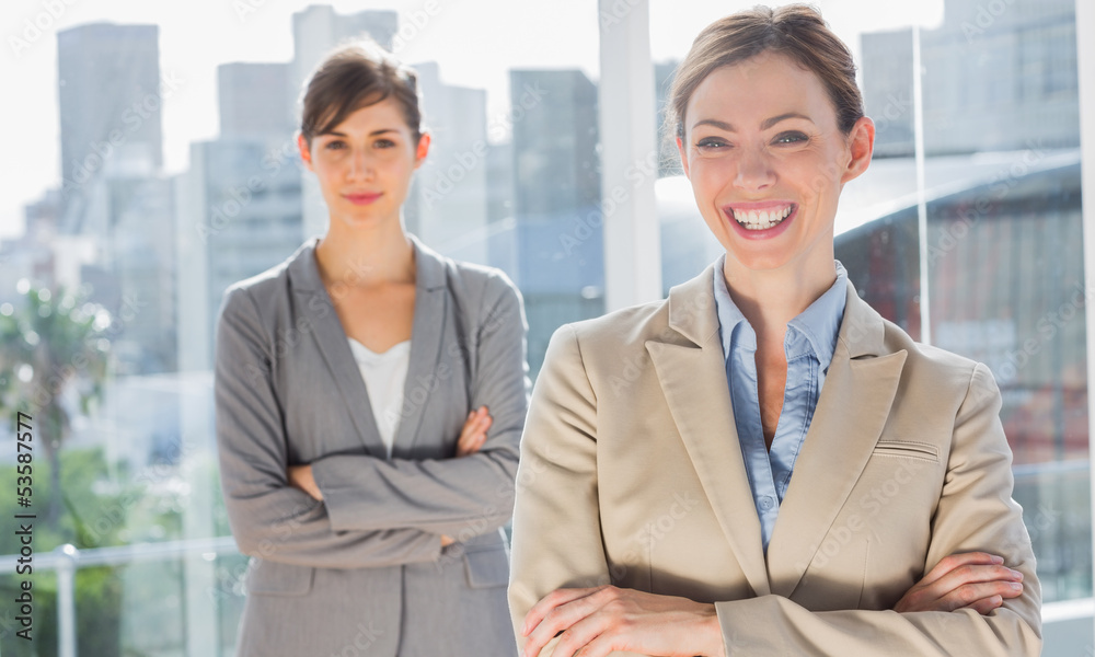 Two smiling businesswomen Two smiling businesswomen