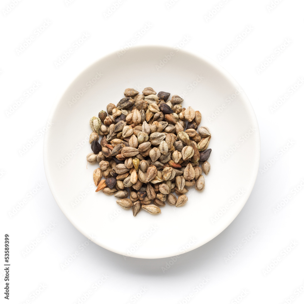 tartary buckwheat (bitter buckwheat) tartary buckwheat (bitter buckwheat)