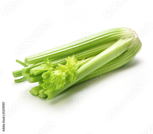 celery on white