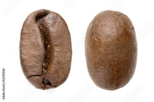 coffee bean front and back