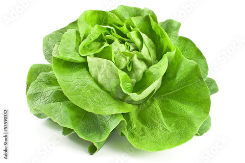 Photo Fresh lettuce