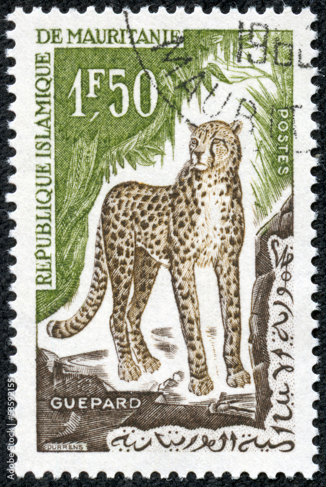 stamp printed in Mauritania shows a cheetah