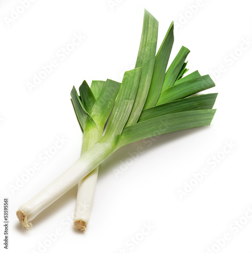 two leeks on white.