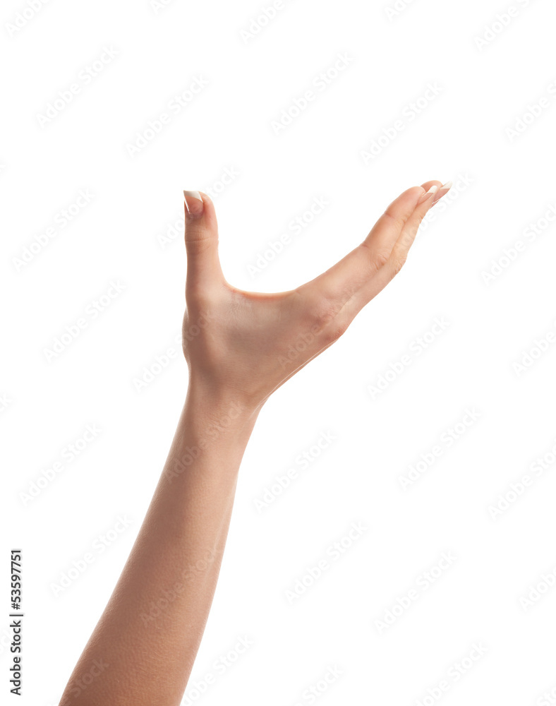 Woman hands Woman hands