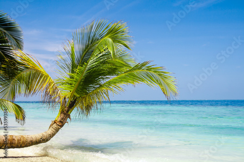 Exotic palm trees on white sand beach. Luxury resort.