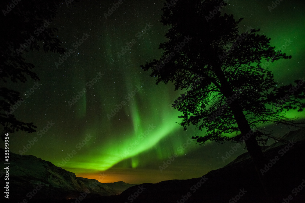 Aurora Borealis (Northern lights) in Sweden