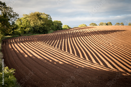 Fotografie Ploughed Field