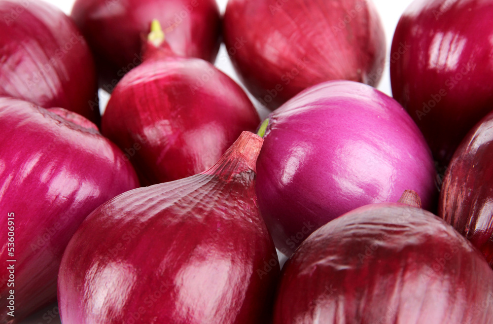 Purple onion close-up
