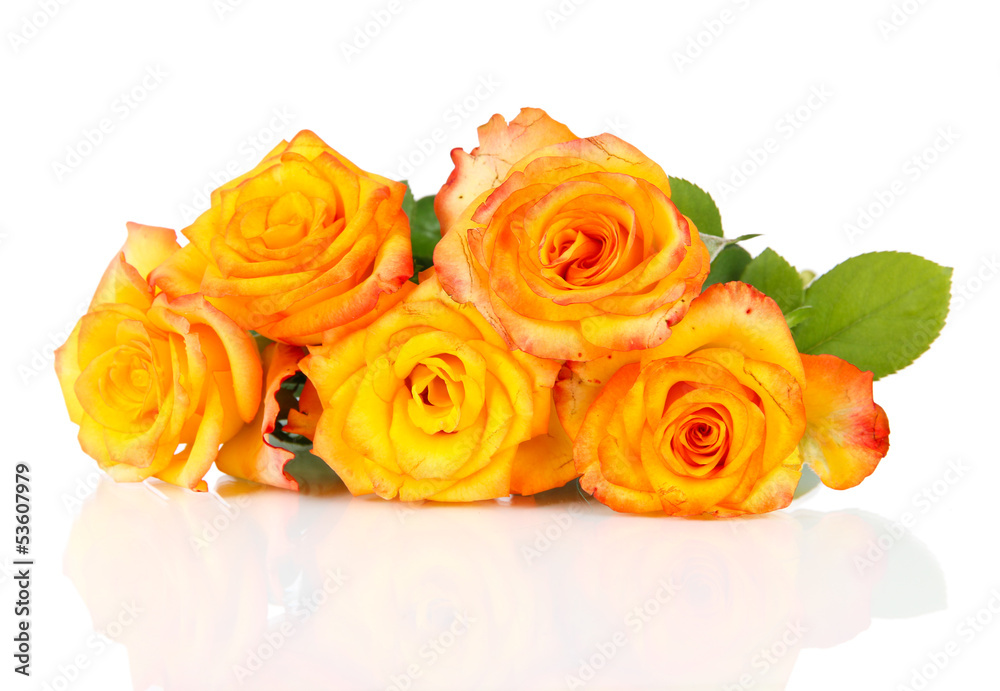 Beautiful bouquet of roses isolated on white Beautiful bouquet of roses isolated on white