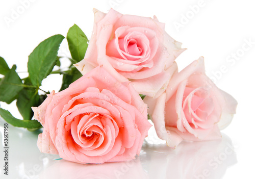 Beautiful bouquet of roses isolated on white