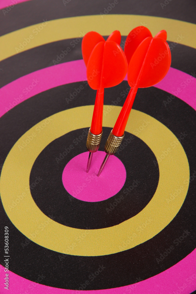 Target with darts close-up Target with darts close-up