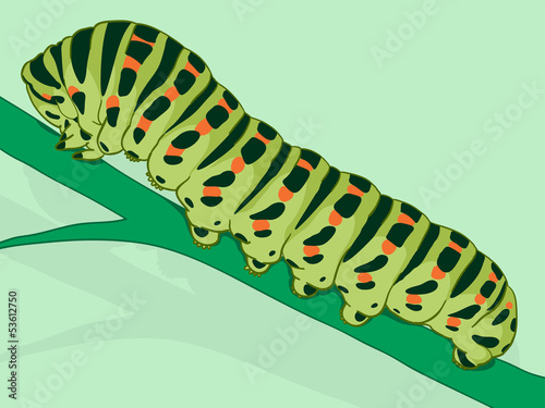 Green caterpillar on a plant stalk