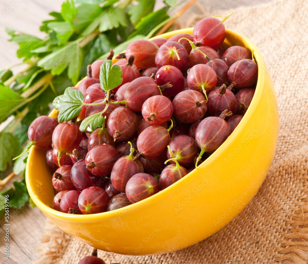 Obraz premium red gooseberries in a yellow bowl