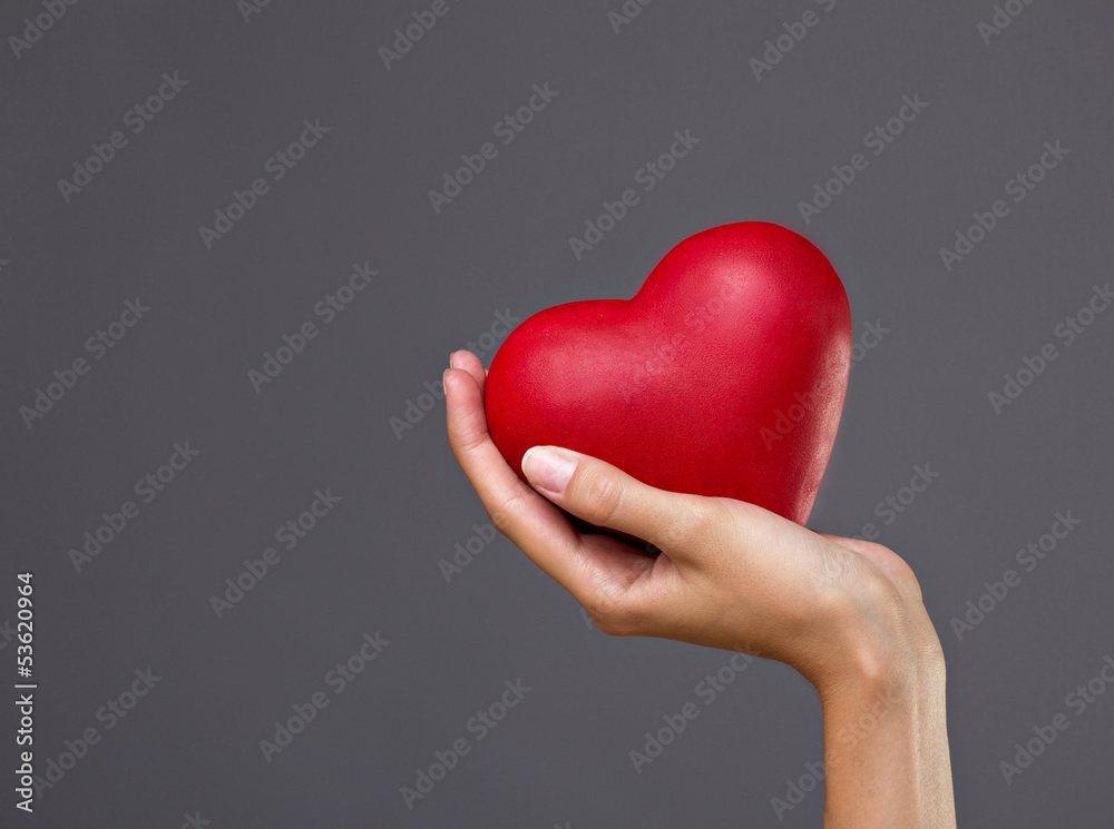 Fototapeta premium heart in hand