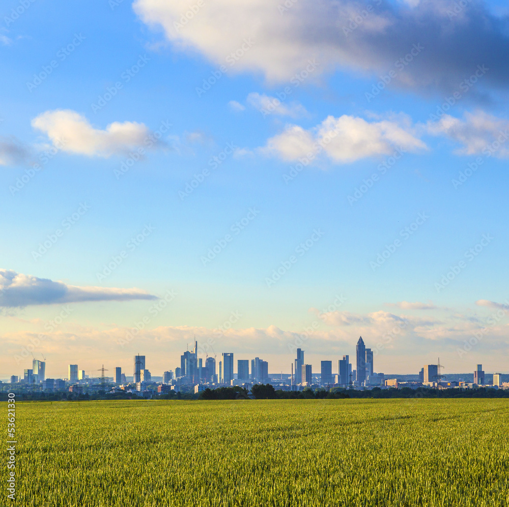 skyline of Frankfurt with fields in foreground