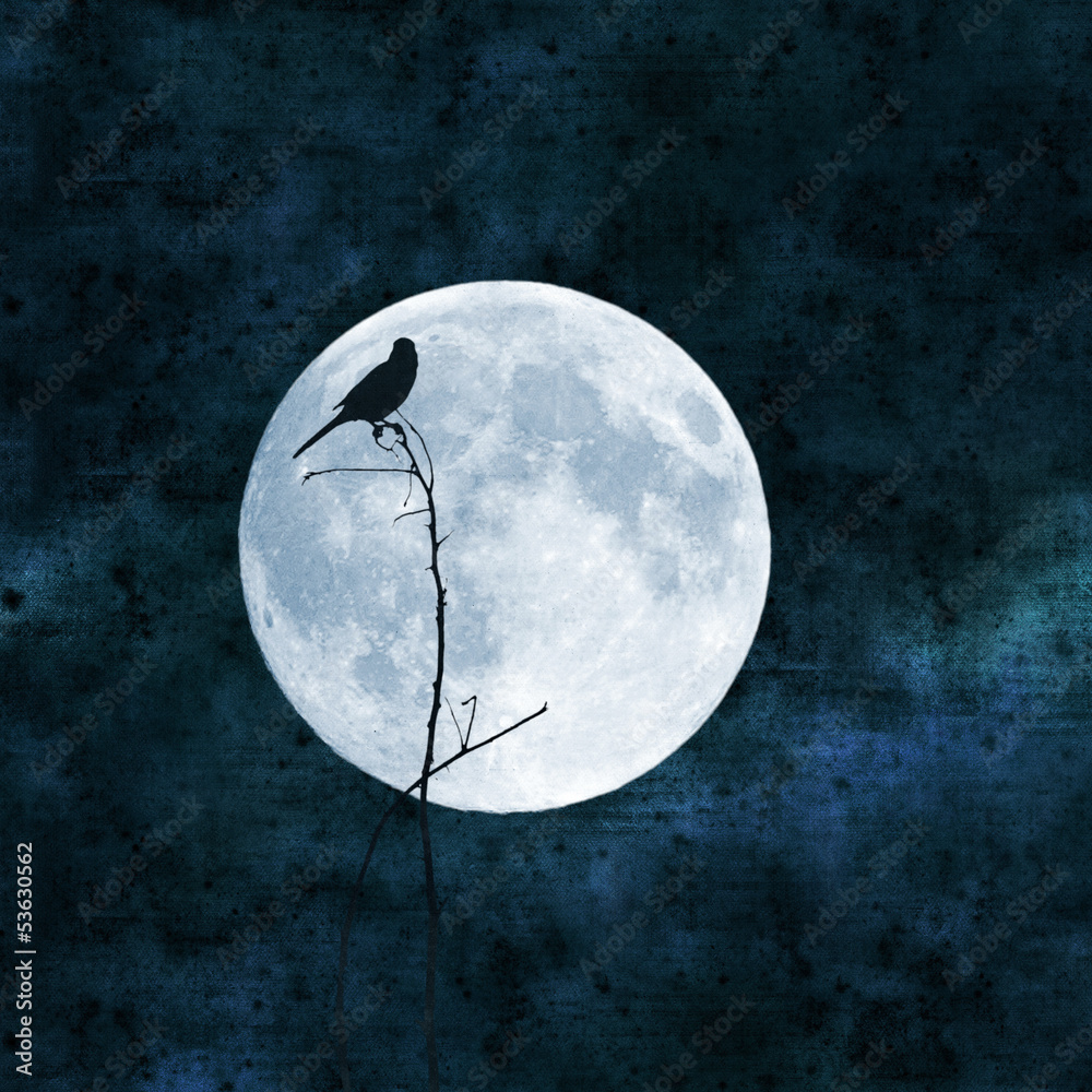 Naklejka premium full moon collage