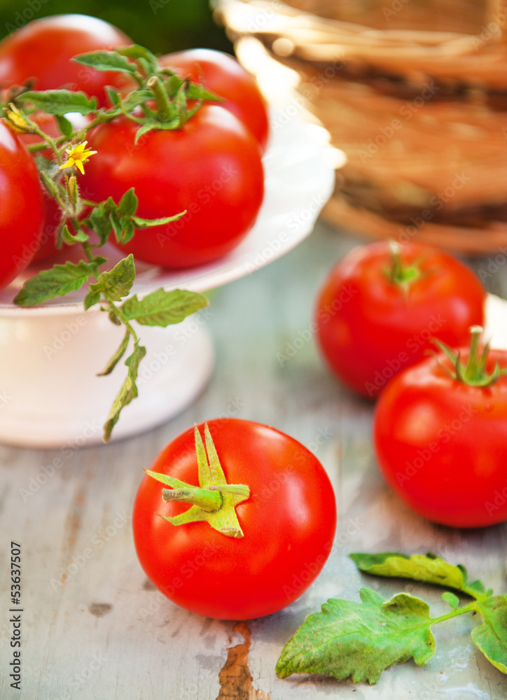 red tomatoes red tomatoes