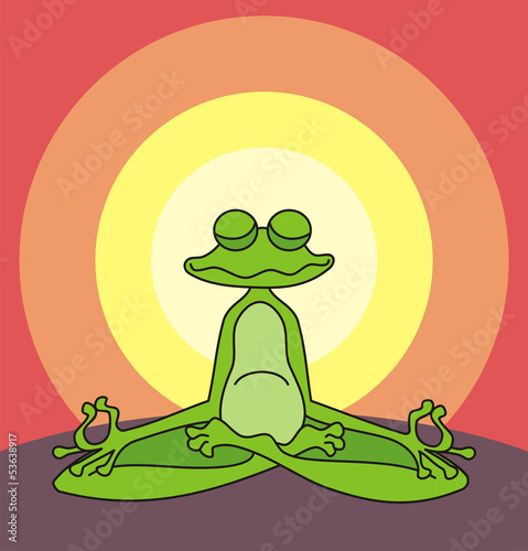 meditating frog