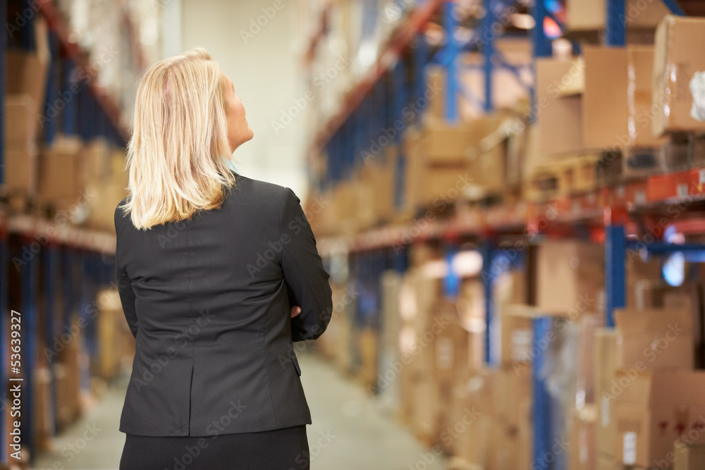 Rear View Of Female Manager In Warehouse Rear View Of Female Manager In Warehouse