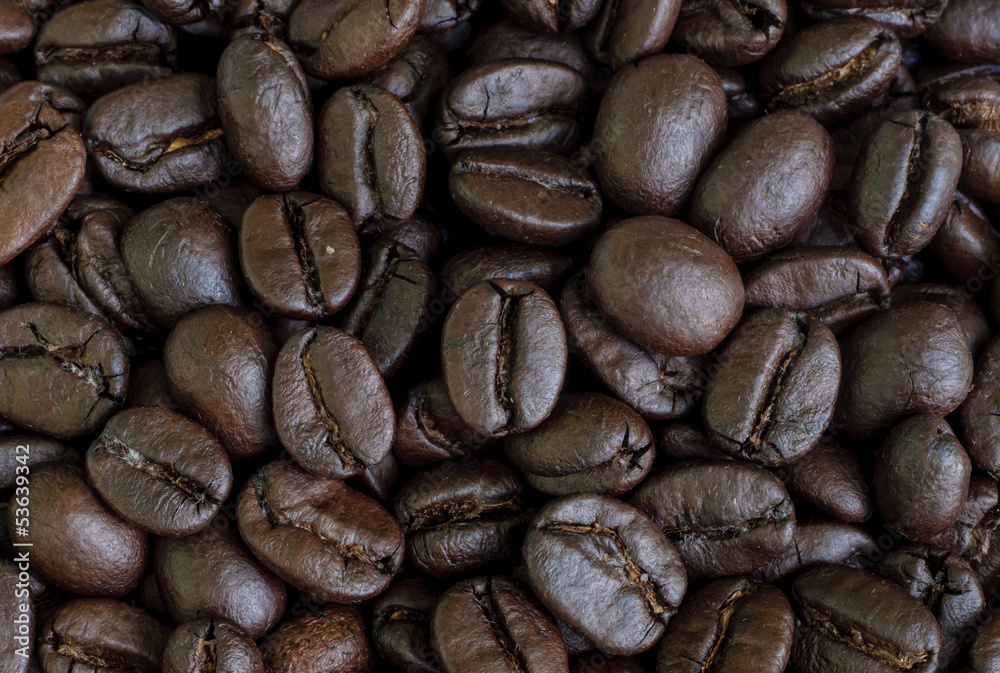Fototapeta premium coffee beans seed