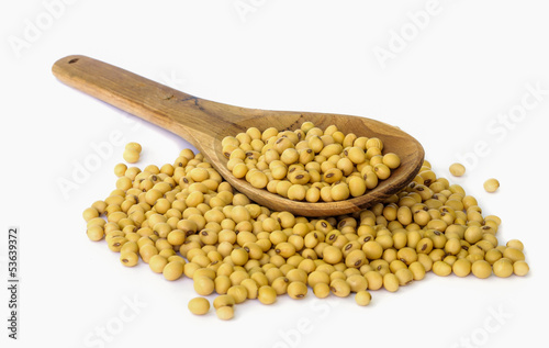 soy bean.