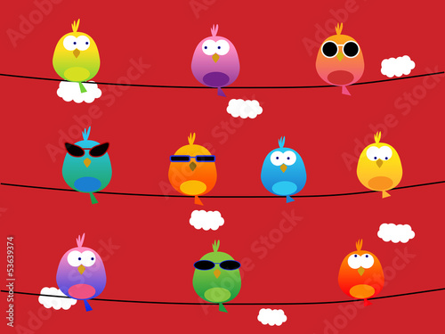 Colorful birds with sunglasses