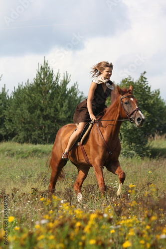 Beautiful teenage girl riding horse at the field © virgonira