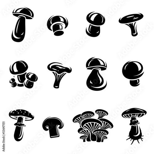 Mushroom set. Vector