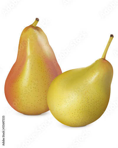 Pears on white. Vector illustration