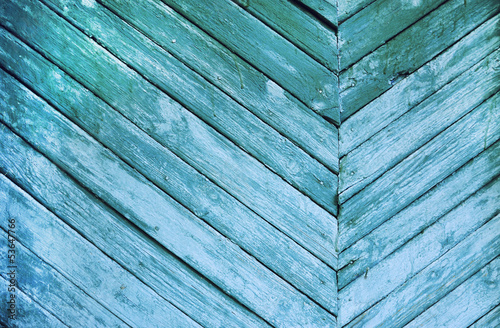 blue texture of a tree