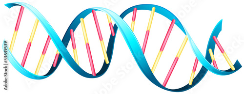 DNA