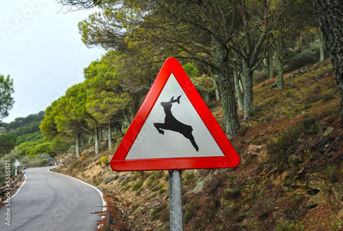 Señal de tráfico, animales salvajes photo