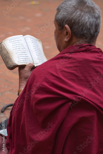 Monk reading in Nepal photo