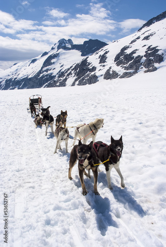 Alaska - Dog Sledding - Travel Destination