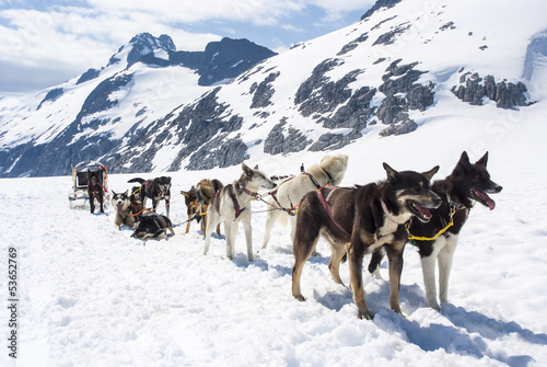 Alaska - Dog Sledding - Travel Destination