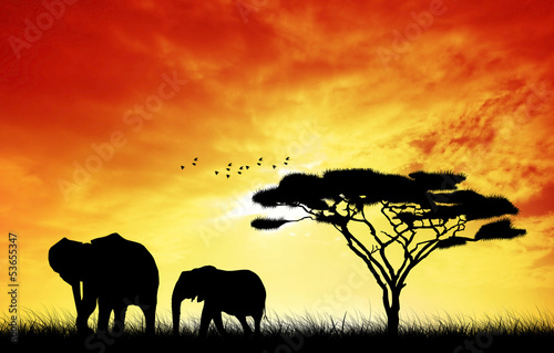 Fototapeta Naklejka Na Ścianę i Meble -  Elephant in African landscape