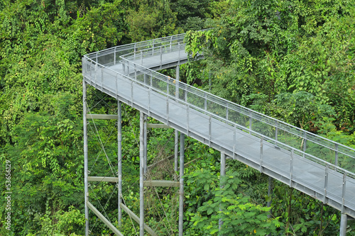 Steel Structure Of A Forest Canopy Walkway