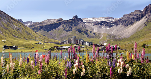 Lake of Tignes and flowers in France photo