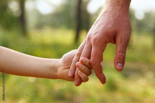 father's hand lead his child son in summer forest nature outdoor